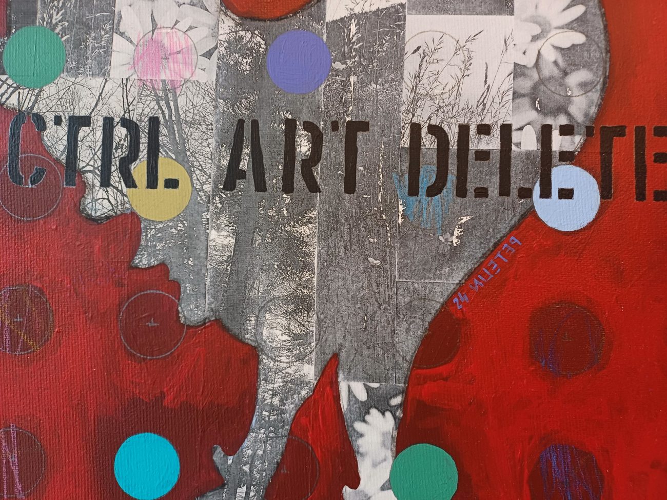 Anže Gallus Petelin / Petelin 24 - Image 2